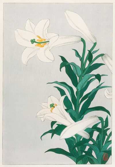Lilies, Ohara.
