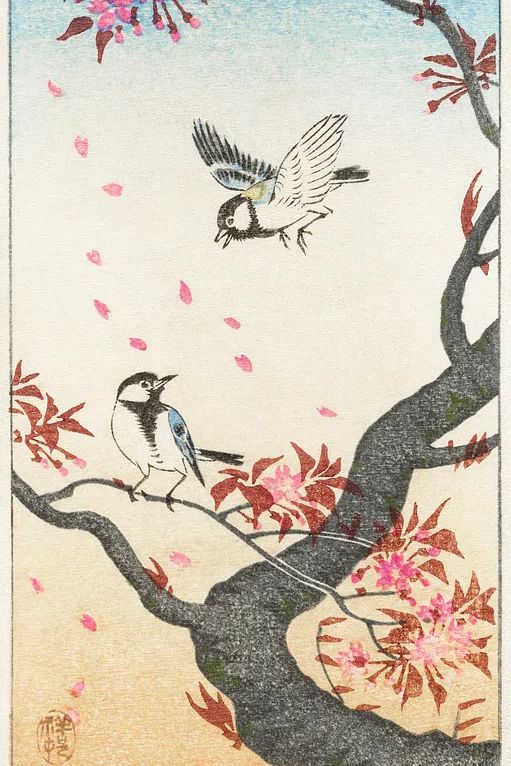 Two great tits blossoming tree. poster — fine-art art