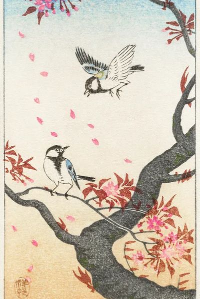 Two great tits blossoming tree. poster