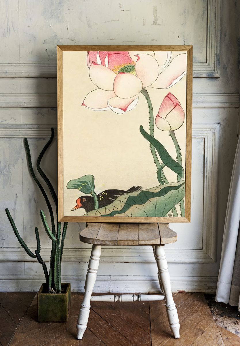Gallinule Lotus Flowers. room preview
