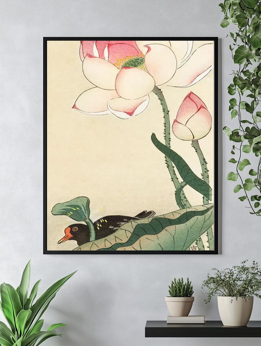 Gallinule Lotus Flowers. — room view 4