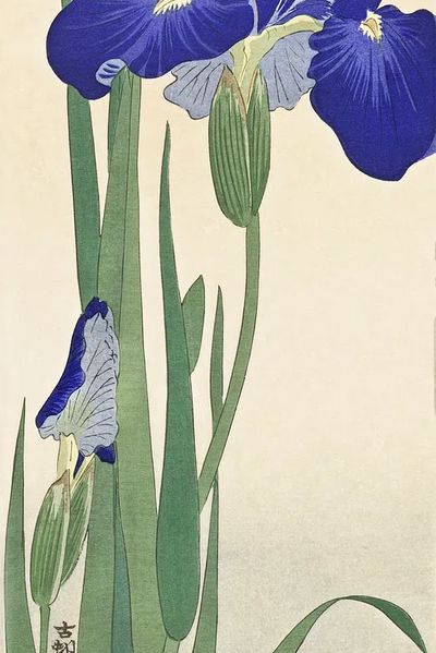 Blue Irises (1900 - 1930). poster