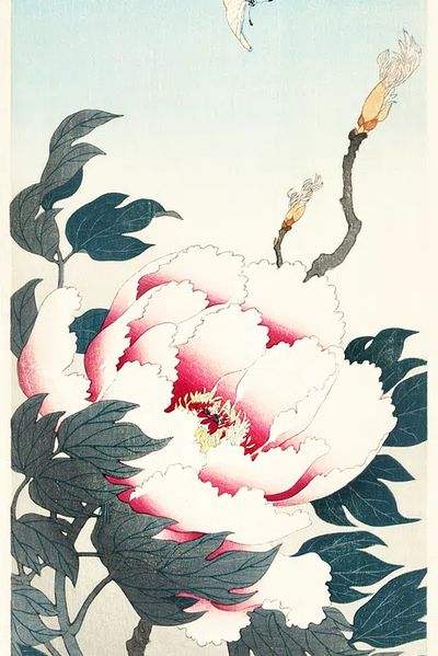 Peony butterfly (1925 - 1936). poster