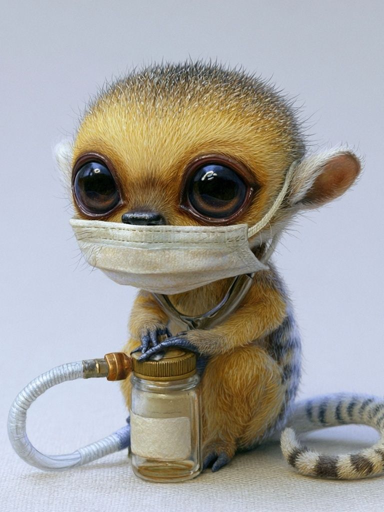 Masked Baby Lemur Illustration Poster. poster — animals art