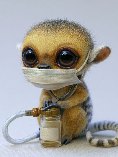 Masked Baby Lemur Illustration Poster. poster