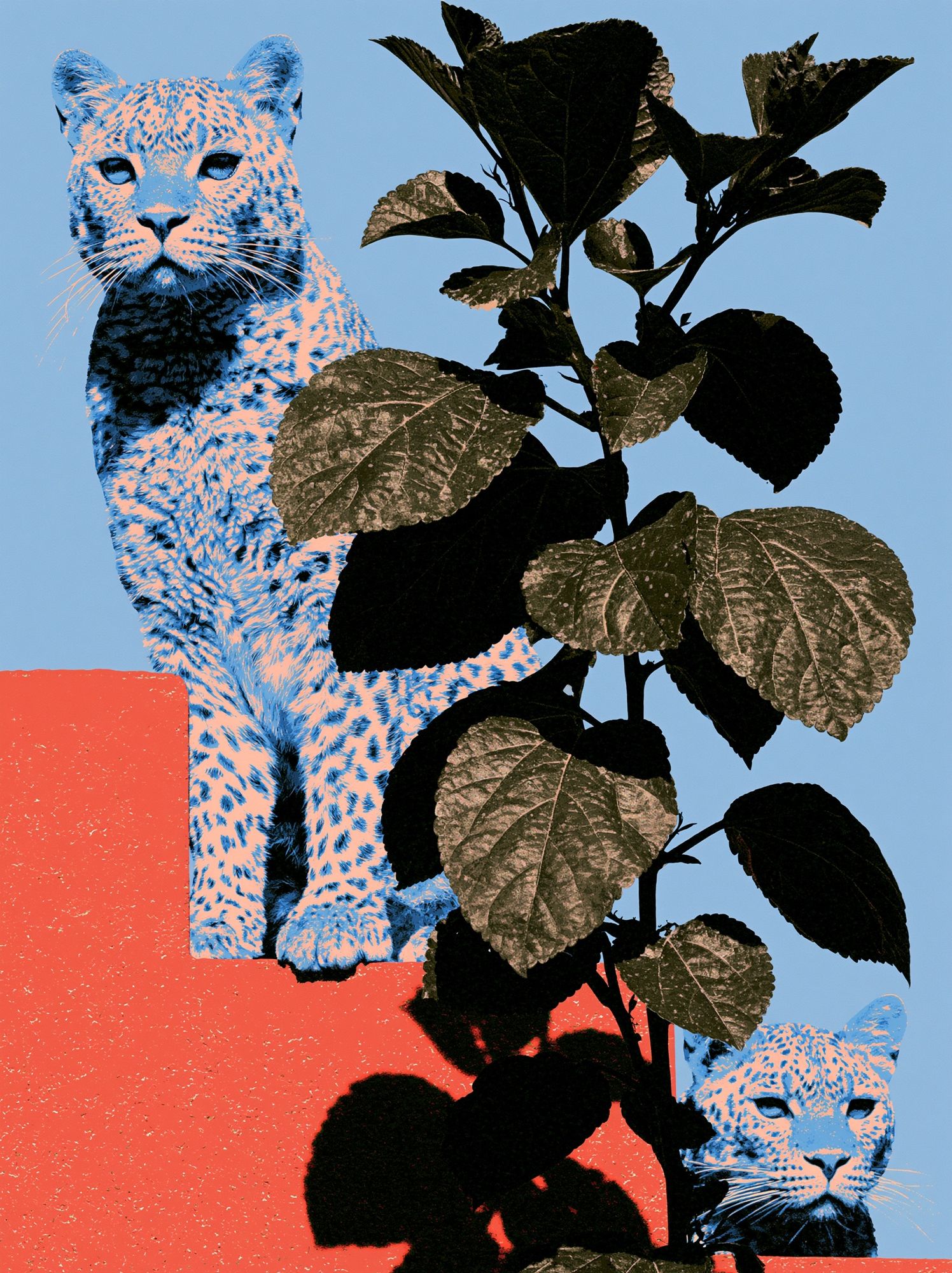 Leopard and Foliage Collage Print. poster — fine-art art