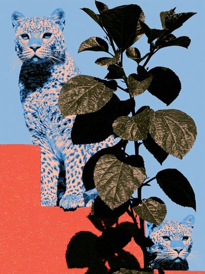 Leopard and Foliage Collage Print.