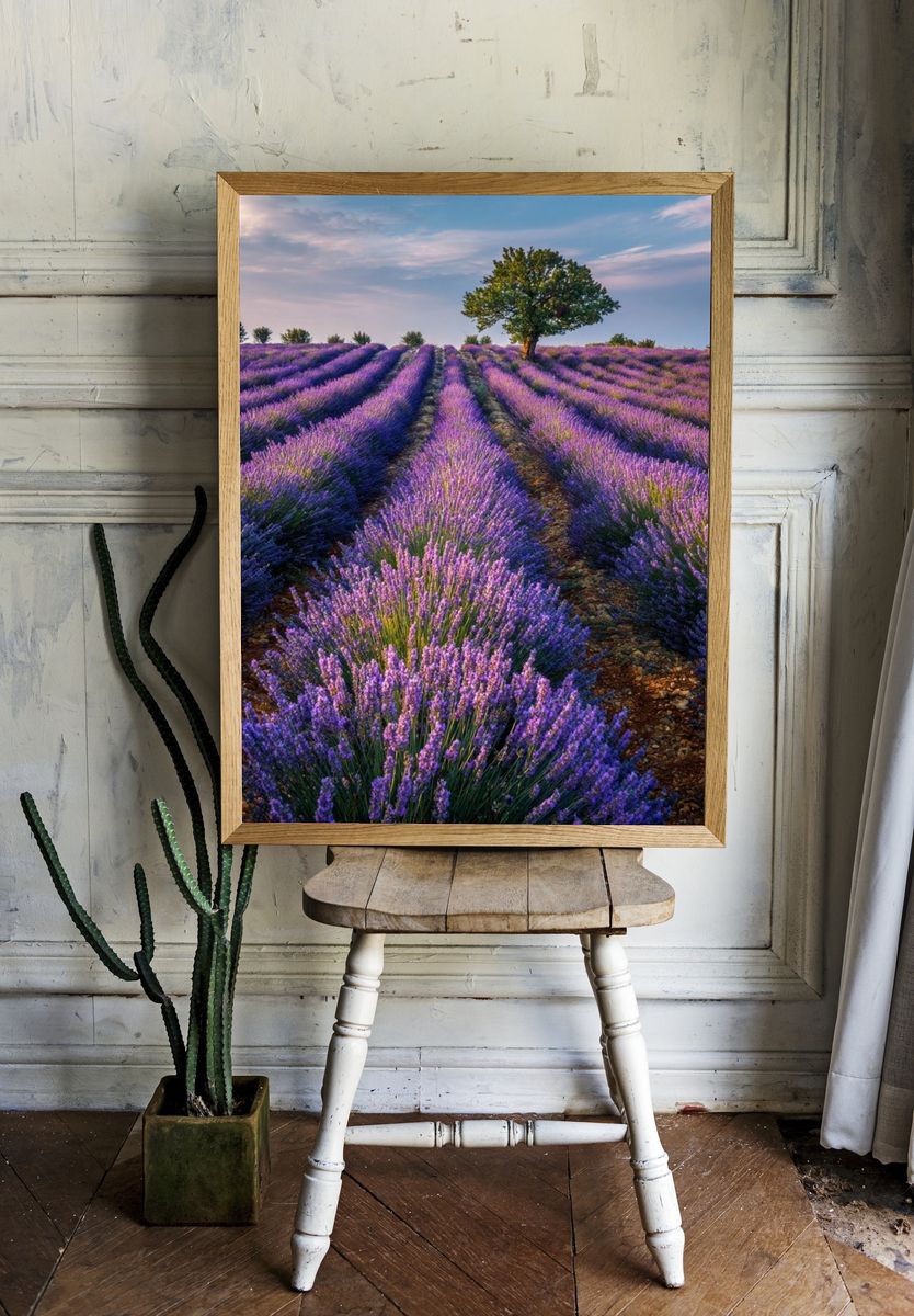 Lavender Field Landscape Poster room preview