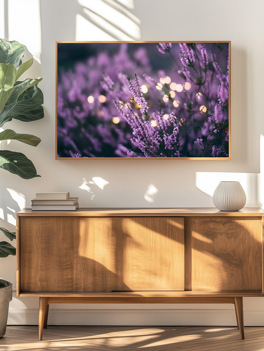 large patch lavender flowers bokeh. — room view 3