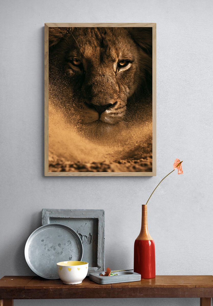 Lion Portrait Photography Poster. — room view 3