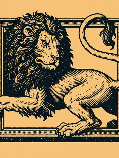 Lion in Frame Illustration Poster.