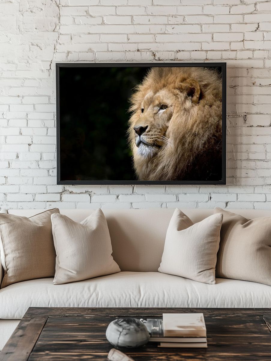 Free male lion background, wildlife. room preview