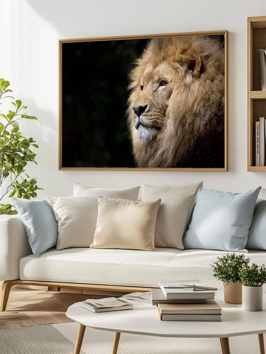 Free male lion background, wildlife. — room view 2