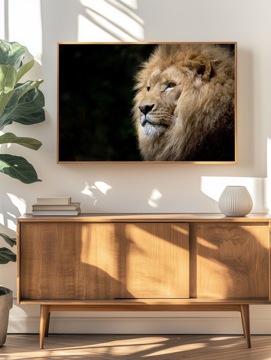 Free male lion background, wildlife. — room view 3