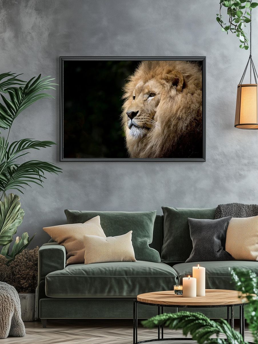 Free male lion background, wildlife. — room view 4