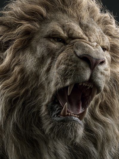 Roaring Lion Portrait Poster.