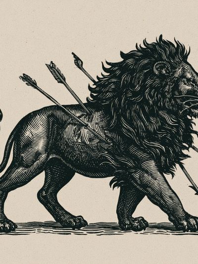 Lion with Arrows Illustration Poster.