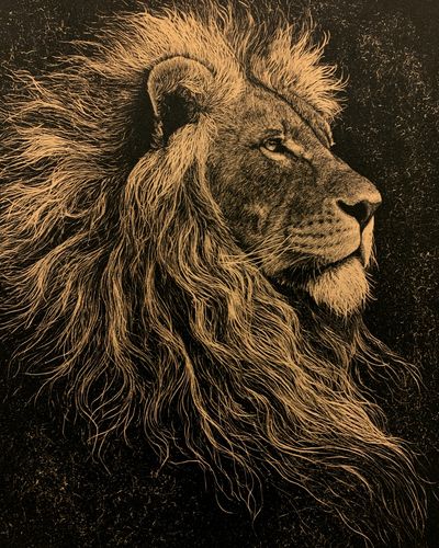 Majestic Lion Portrait Print. poster