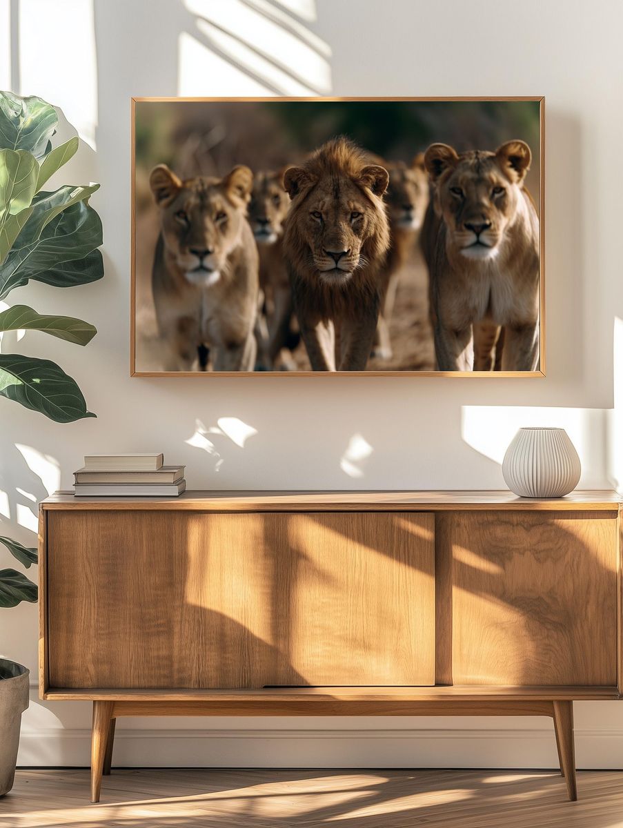 Lion Pride Wildlife Photography Poster. — room view 3