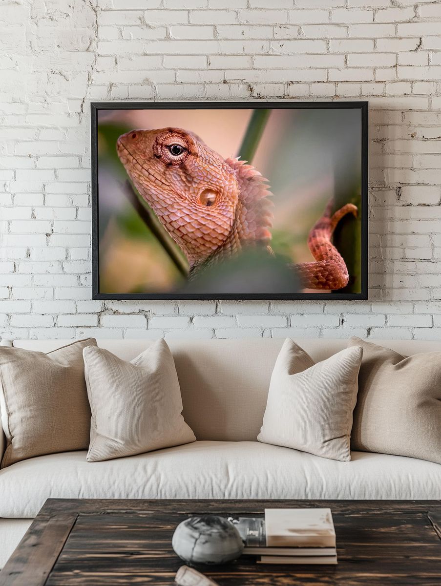 Lizard Close-Up Photography Poster. — room view 1