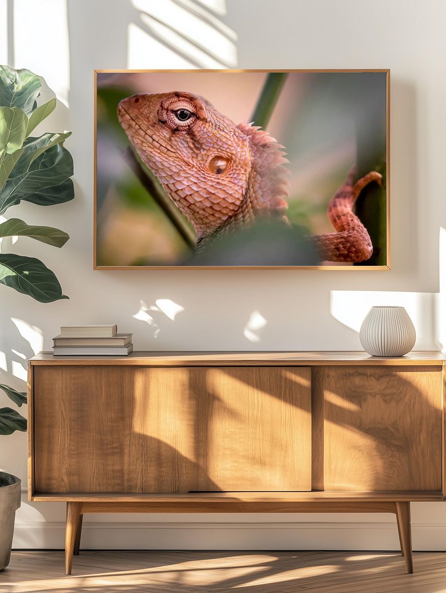 Lizard Close-Up Photography Poster. — room view 3