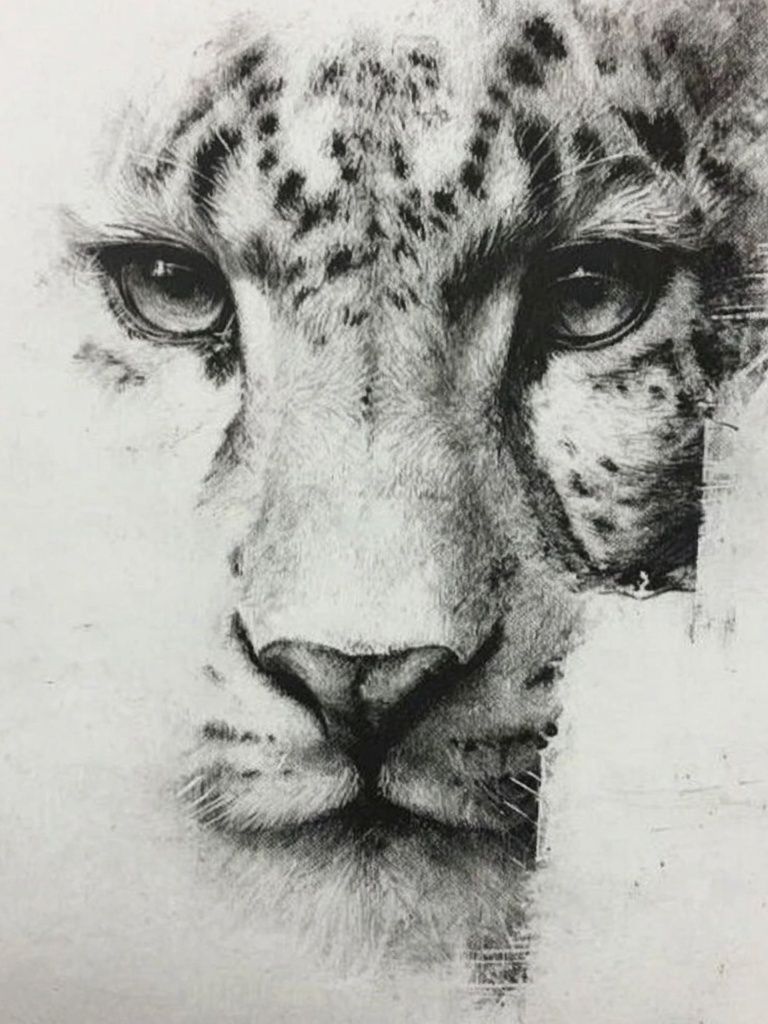 Leopard Portrait — Fine Art Print. poster detail