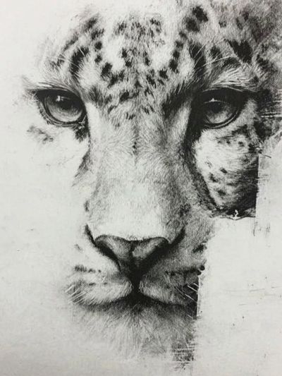 Leopard Portrait — Fine Art Print. poster print