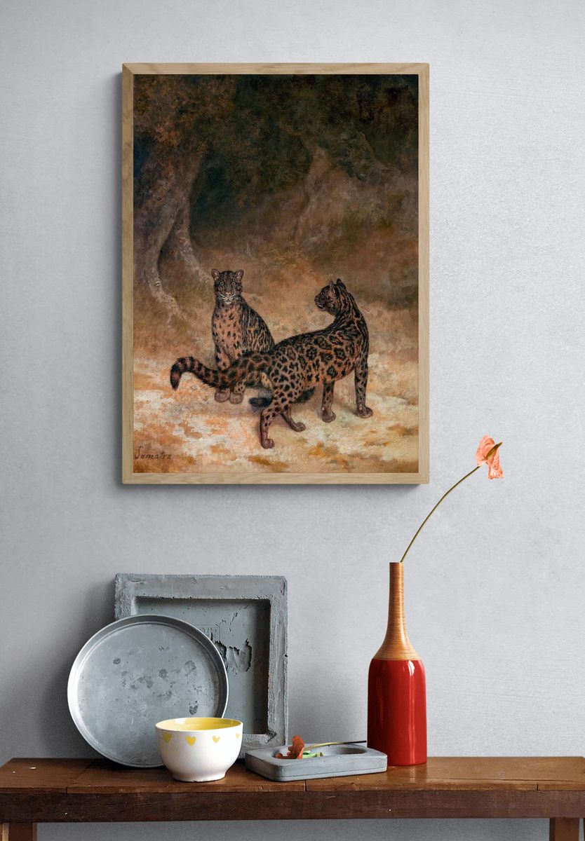 Clouded Leopards (ca. 1825) painting. — room view 3