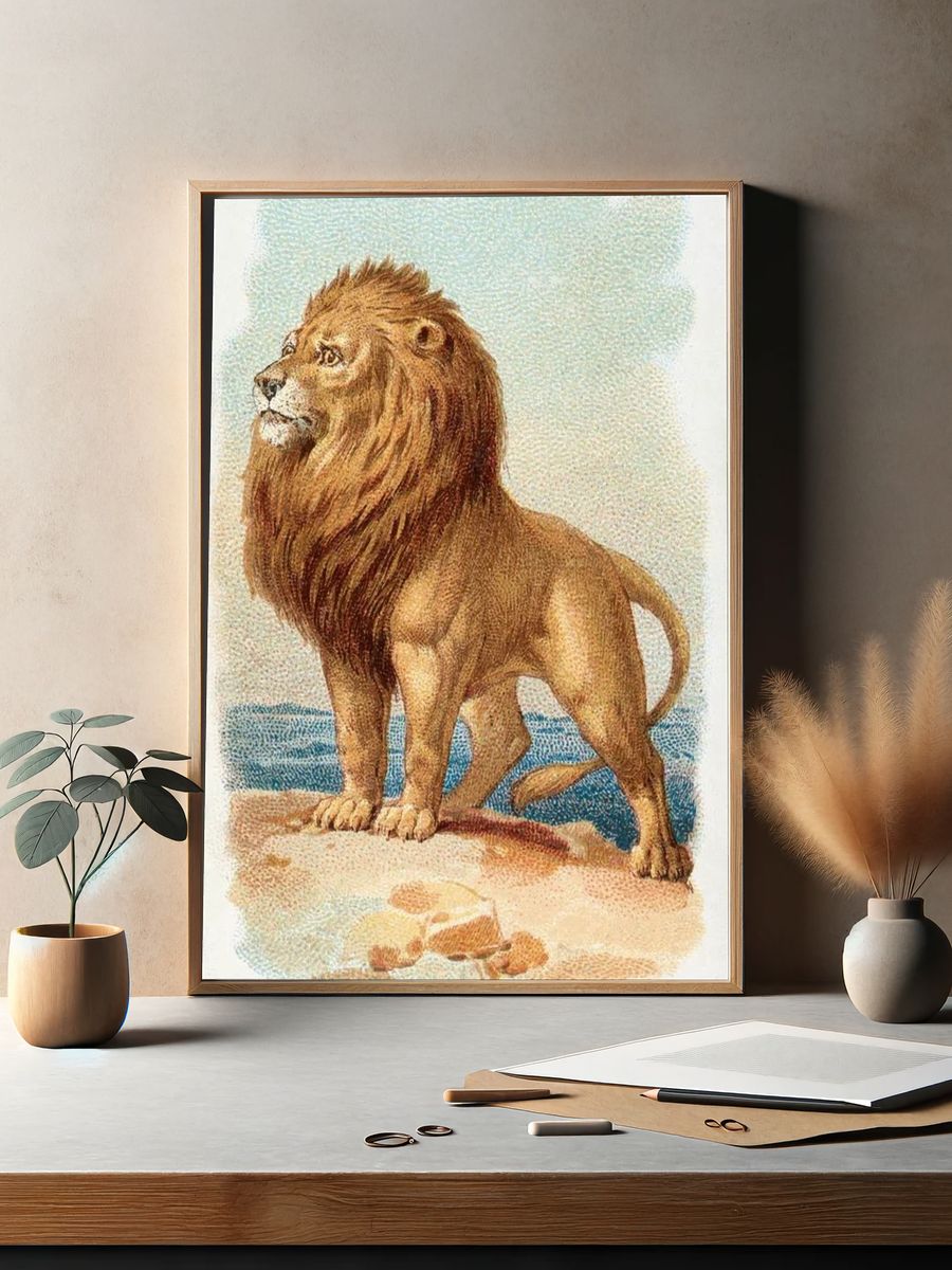 Lion — Vintage Print. — room view 2
