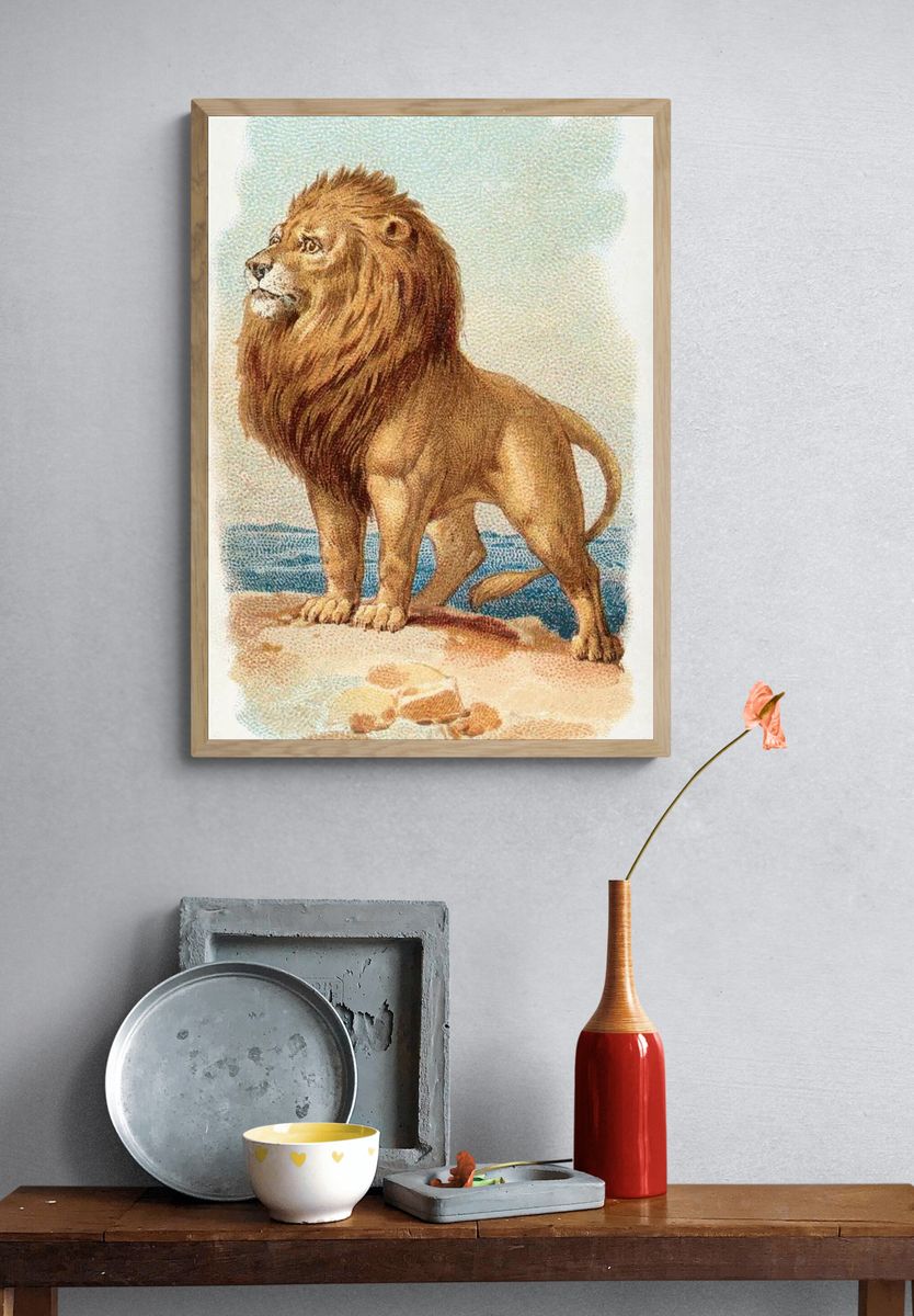 Lion — Vintage Print. — room view 3