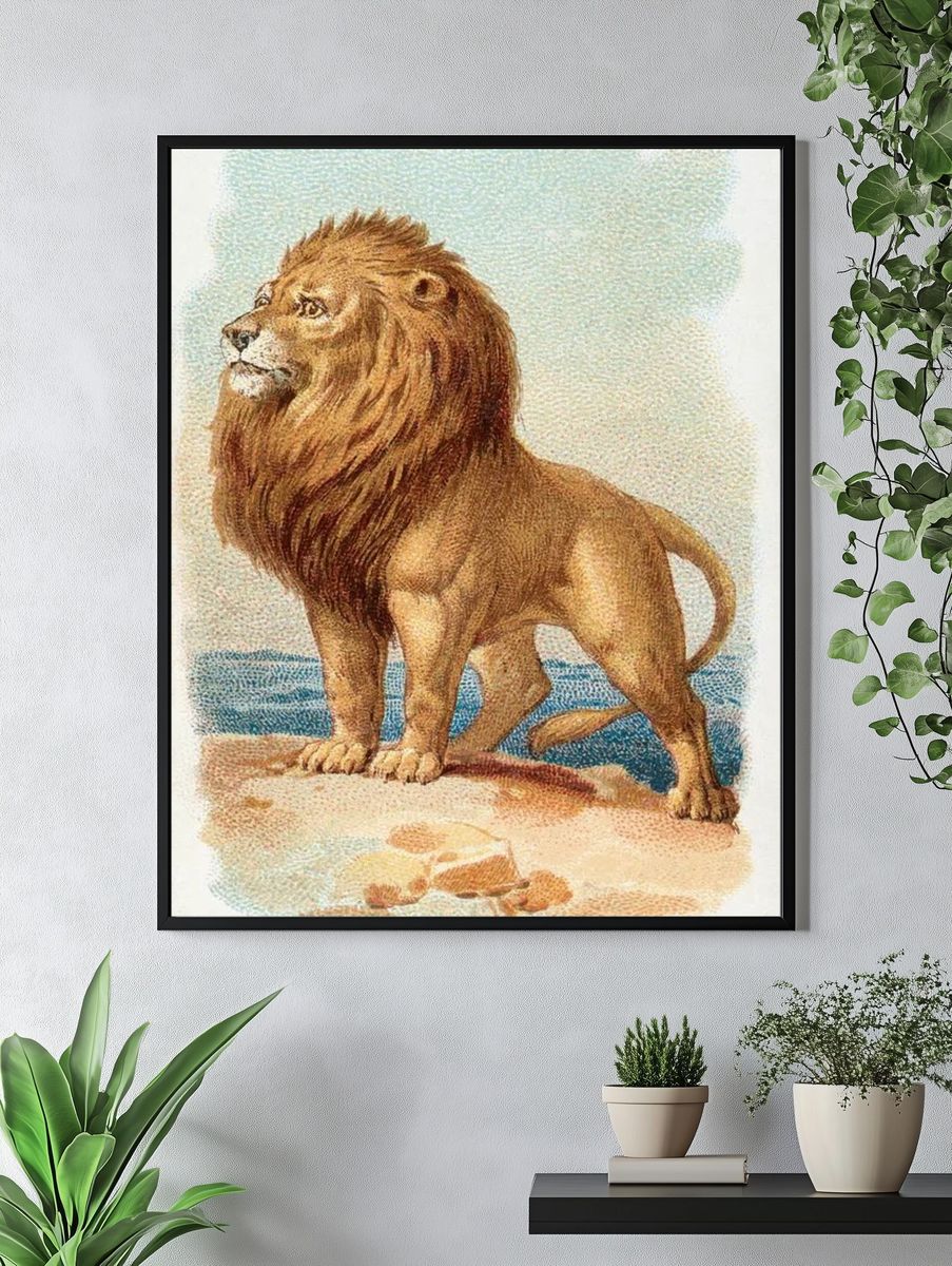 Lion — Vintage Print. — room view 4