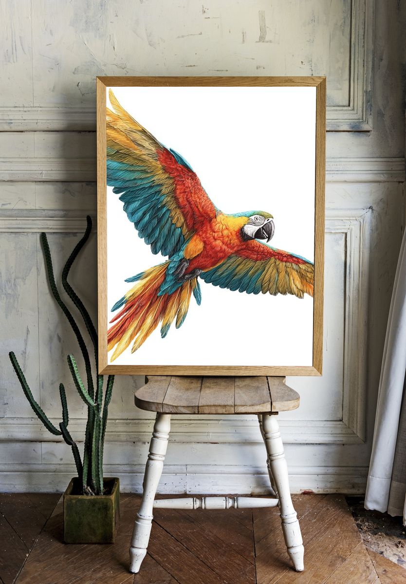 Colorful Macaw Illustration Poster. — room view 1