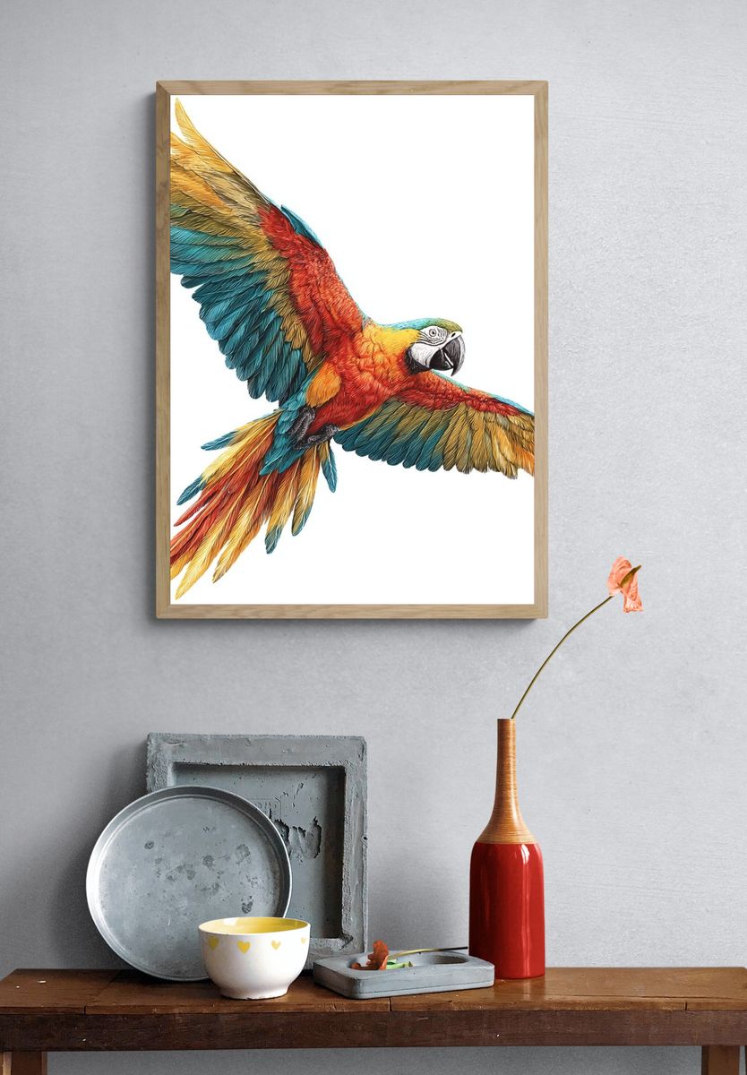 Colorful Macaw Illustration Poster. — room view 3