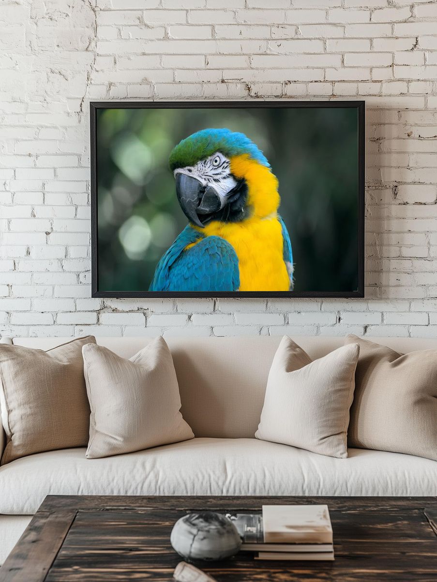 Macaw Parrot Portrait Poster. — room view 1