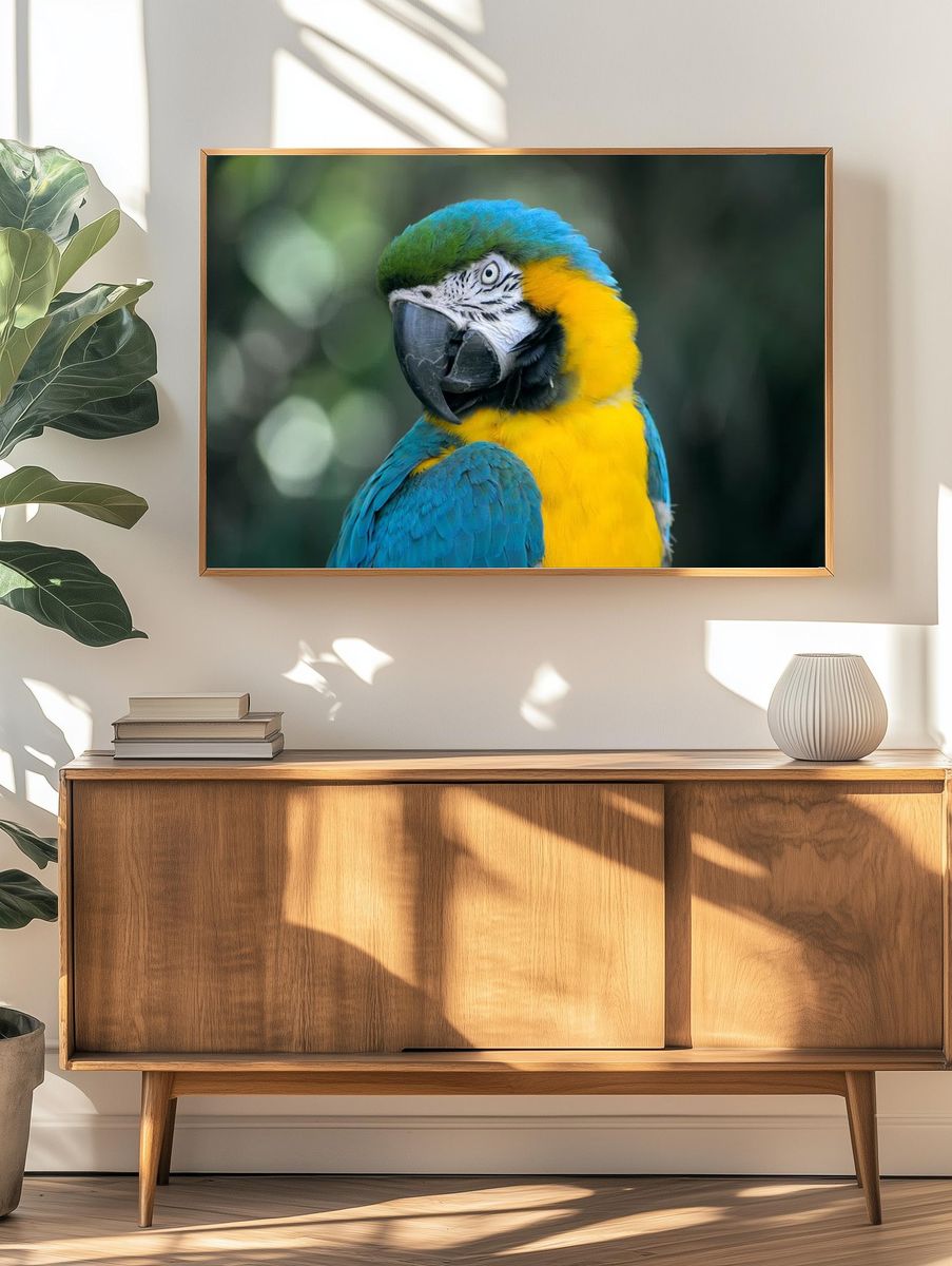 Macaw Parrot Portrait Poster. — room view 3