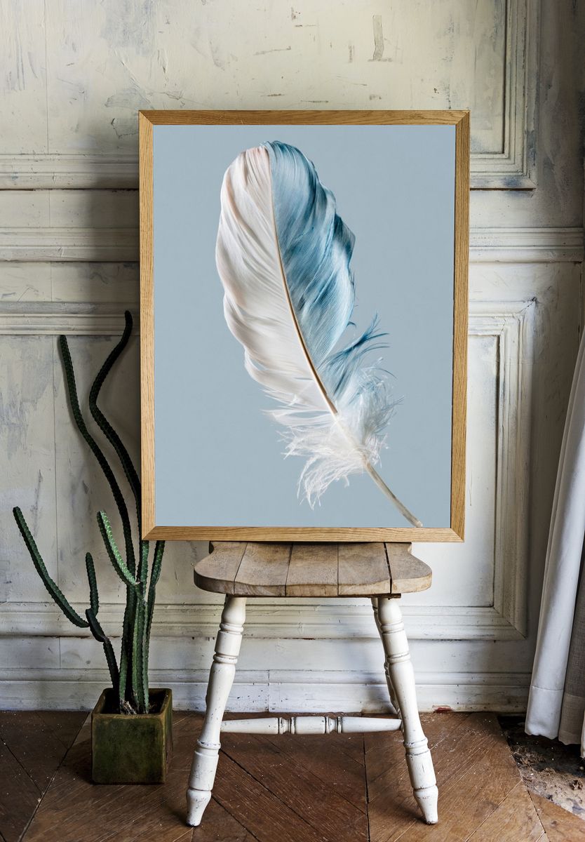 Blue and White Feather Print. room preview