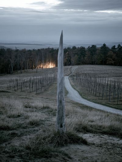 Misty Field Landscape Photography Poster.