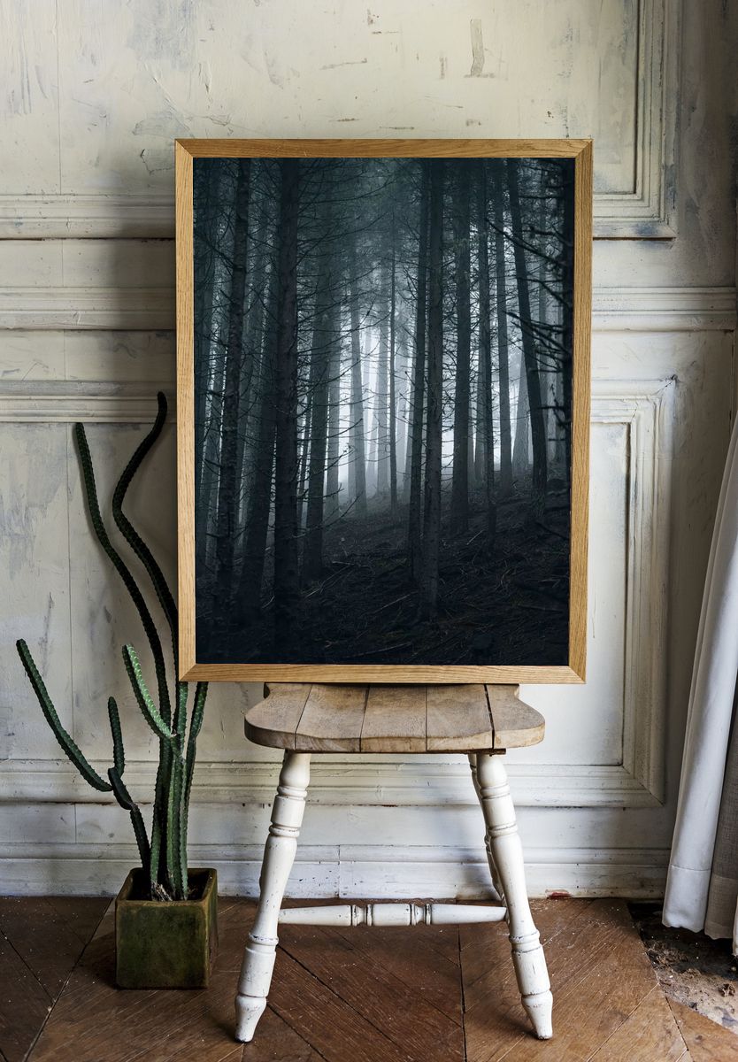 Misty Forest — Nature Poster room preview