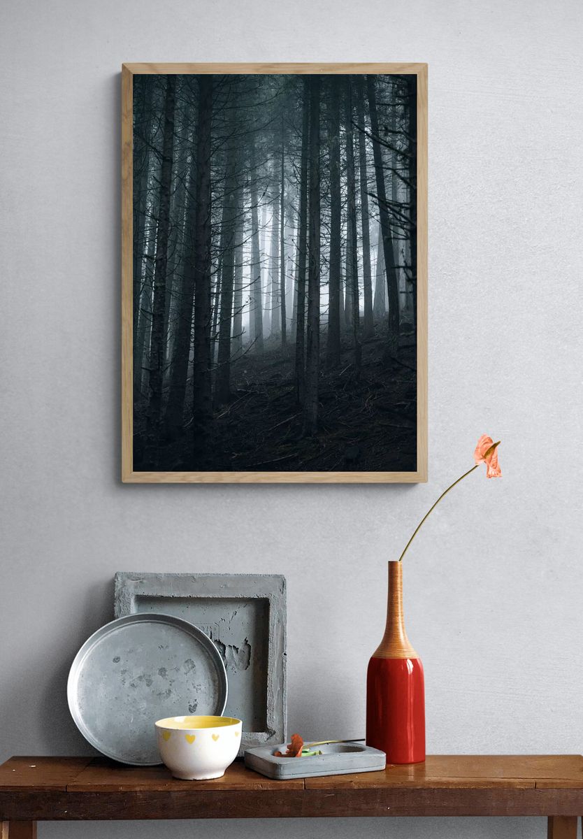 Misty Forest — Nature Poster. — room view 3