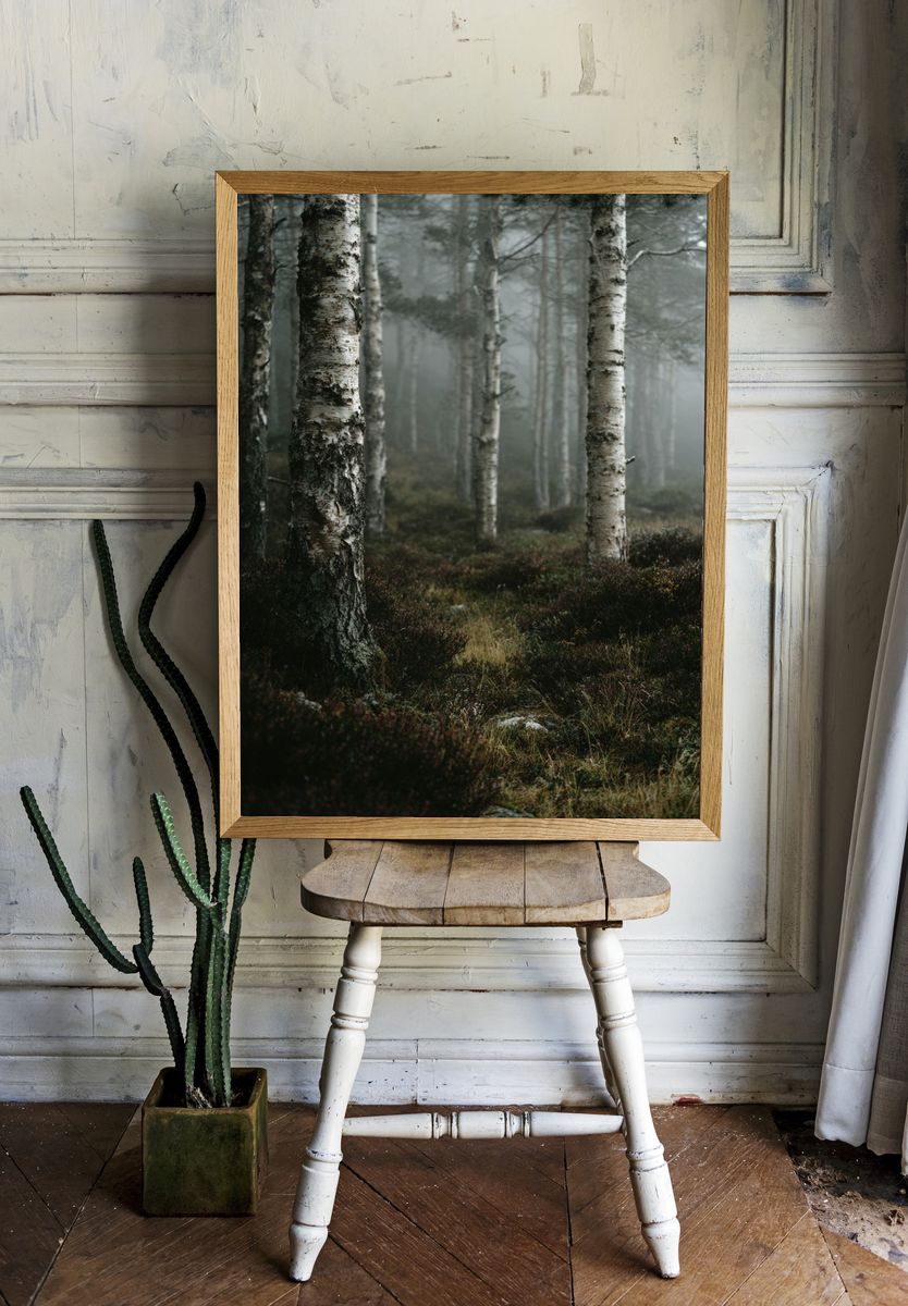Misty Forest Photography Poster. — room view 1