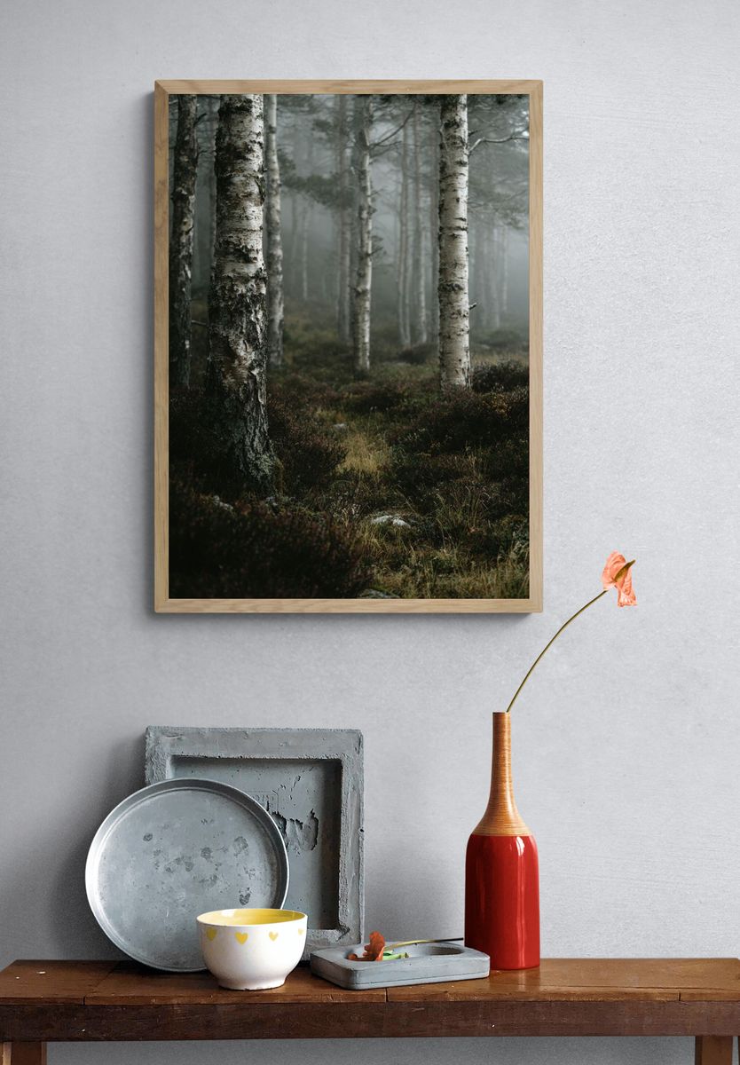 Misty Forest Photography Poster. — room view 3