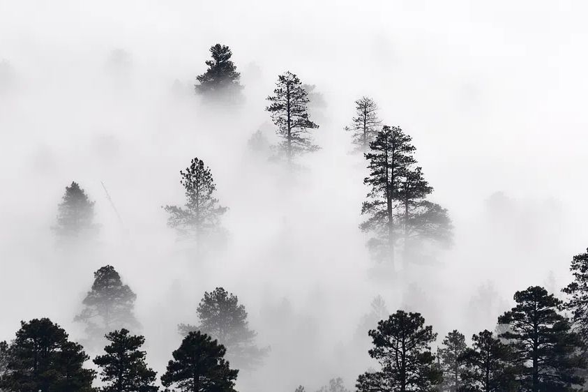HD wallpaper winter landscape, nature. poster detail