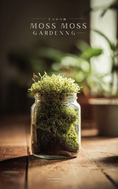 Indoor Moss Gardening Poster. poster print