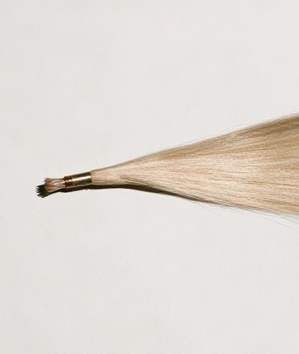 Paintbrush Bristle Study Print. poster — minimalist art