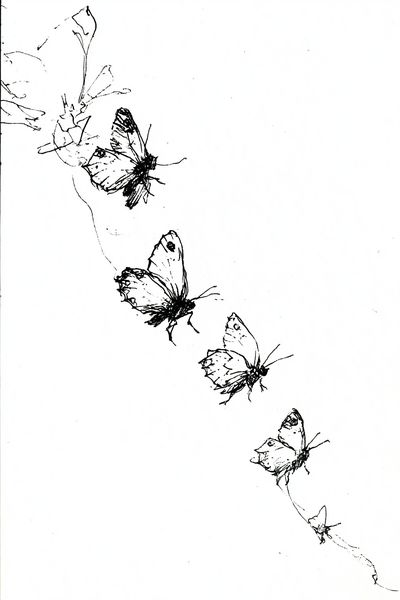 Butterfly Sketch Minimalist Print.