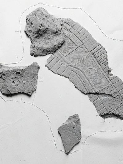 Fossil Fragment Study Print.