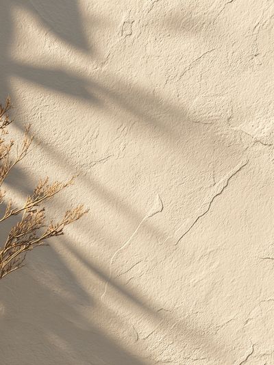 Sunlit Neutral Wall Texture Print. poster