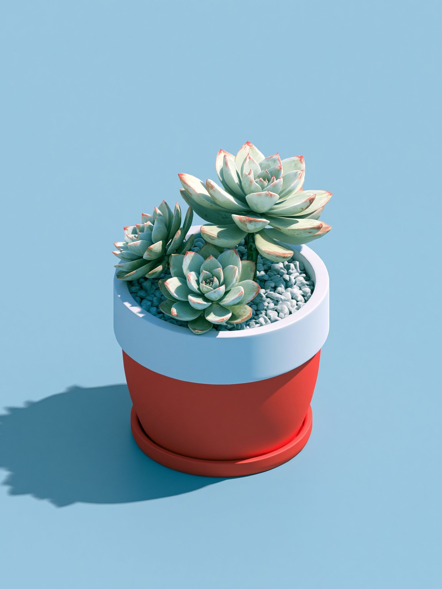 Succulent Pot Minimalist Print. poster detail