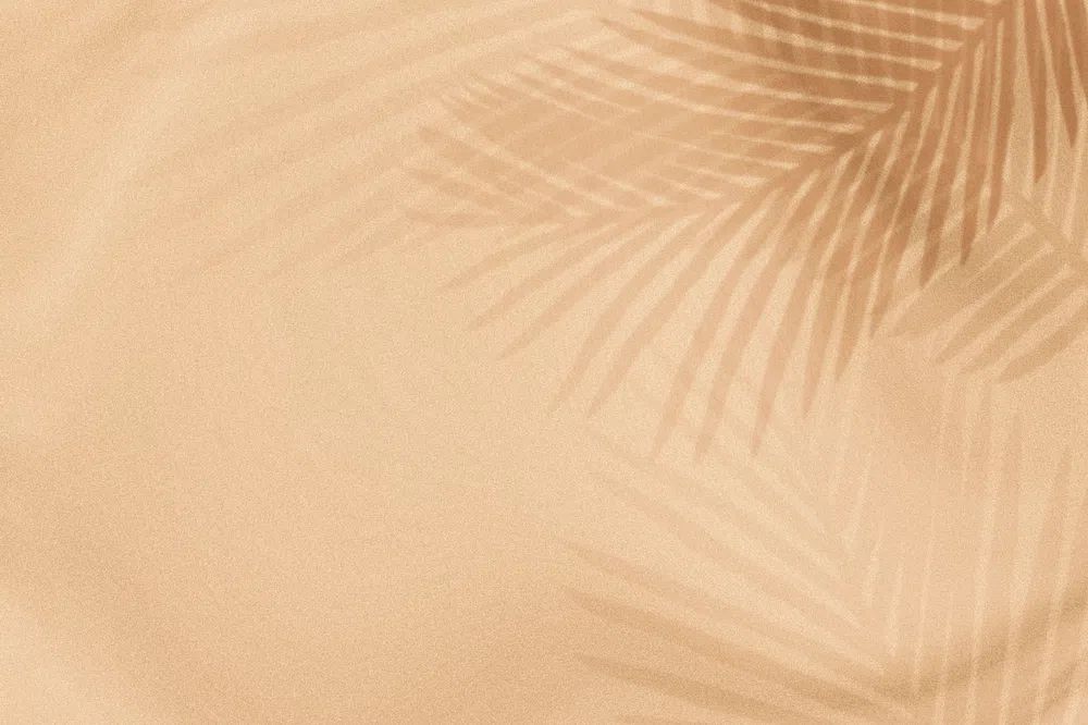 Palm leaves shadow beige background. poster detail