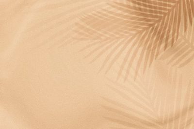 Palm leaves shadow beige background. poster